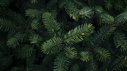 A close up of a tree with many green leaves. The leaves are arranged in a way that creates a sense of depth and texture, with some leaves appearing to be more prominent than others