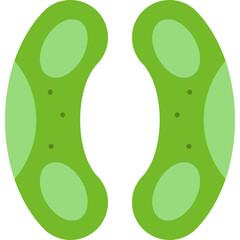 Stomata Icon