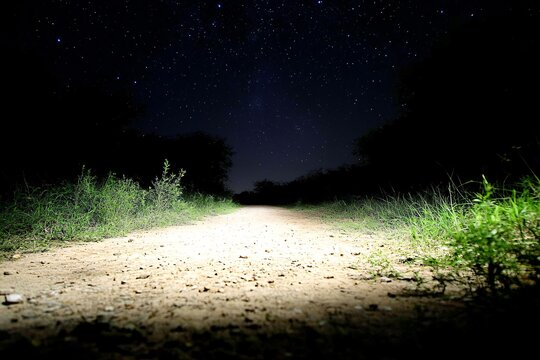 Dirt path illuminated by flashlight under clear night starry sky. - Powered by Adobe