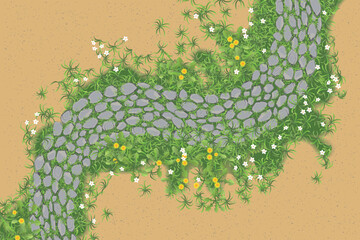 Top view of a rocky path with breaking grass and wildflowers among the sand. View from above.