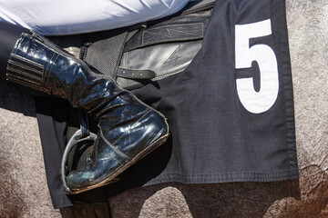 Race horse with jockey detail. Purebred in the hippodrome. Turf