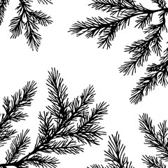 fir branch silhouette