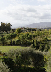 Obraz premium tuskany