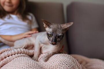 Girl Playing with Sphynx Cats