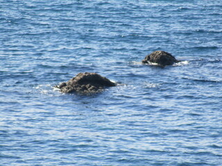 Naklejka premium 海面に顔を出したコブのような岩