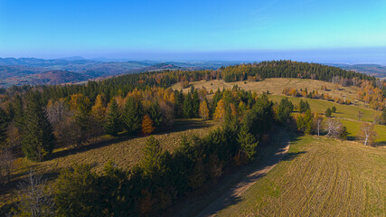 Mountains covered with colorful autumn trees, autumn mountain aerial landscape. Drone view