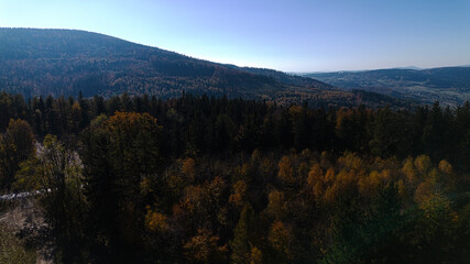 Mountains covered with colorful autumn trees, autumn mountain aerial landscape. Drone view