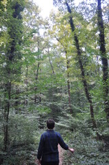 A man walking on the path in forest