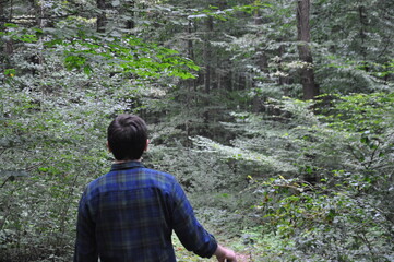 A man walking on the path in forest