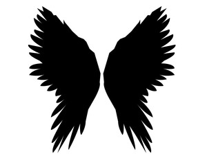 Angel wings, Natural black wing plumage with clipping part