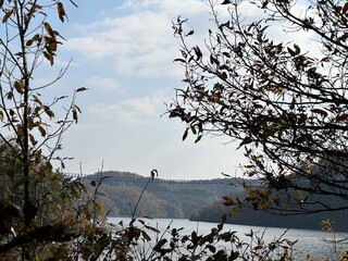 저수지가 보이는 가을 풍경