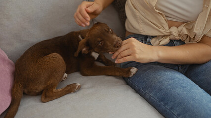 A woman is playing with her puppy on a sofa in a cozy living room, capturing a tender indoor moment between pet and owner.