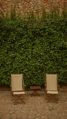 Obraz premium Rustic chairs and table set on stone pavement with background of lush green ivy-covered stone wall in outdoor setting