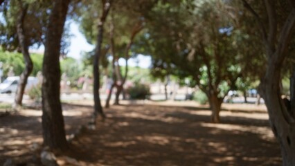 Defocused trees in an outdoor setting with a blurred background and bokeh effect showcasing a bright sunny day