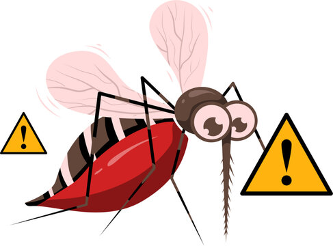 Mosquito illustration 