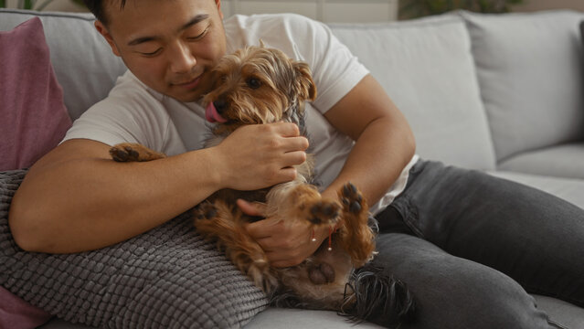 A young asian man gently holding his small dog while relaxing on a couch in a cozy living room, showcasing a strong bond between the pet and its owner in a warm apartment setting.