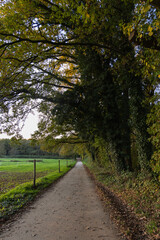 Autumnal landscape in the countryside with a footpath and trees
