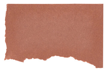 Isolated cut out torn piece of blank brown paper note cardboard with texture and copy space for text, transparent png background design element