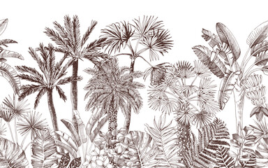 Jungle seamless border with palms and leaves