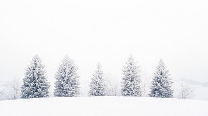 Obraz premium Snow-covered landscape on a white background captures the natural essence of winter, highlighting delicate snowflakes and blank space for design elements.