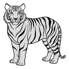 Beautiful Tiger line art coloring pages for kids. This is an editable and printable high quality vector eps file.
