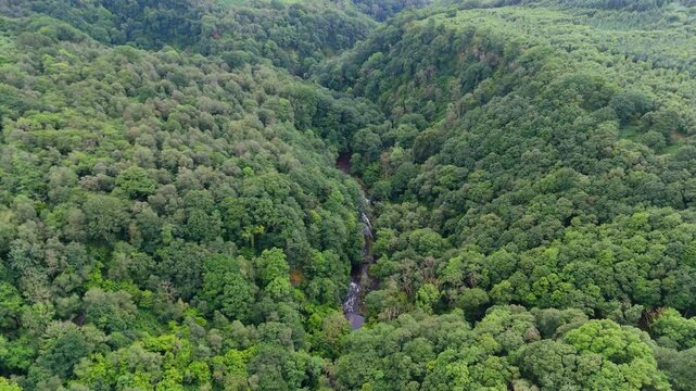 4K Aerial View of Four Waterfalls Walk in Brecon Beacons, Wales, Featuring River and Green Forest