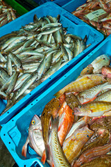 Fish Baskets, Fish Market, Fishing Port of Águilas, Mediterranean Sea, Águilas, Murcia, Spain, Europe