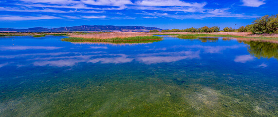 Tablas de Daimiel National Park, Daimiel, Ciudad Real, Castilla La Mancha, Spain, Europe