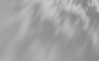 Abstract shadow overlay from foliage on a transparent background.