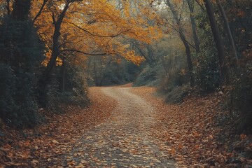 Winding Path Through Autumn Forest: A Serene Journey Amidst Golden Leaves and Tranquil Nature