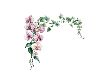 Delicate floral arrangement featuring soft pink orchids and lush green leaves, perfect for enhancing nature-themed designs, transparent background.
