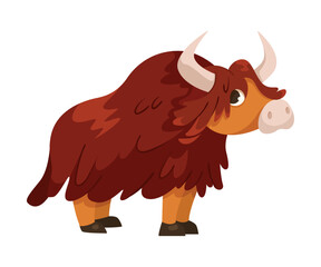 Furry Yak or Ox Polar Animal and Cold Arctic Fauna Vector Illustration