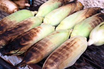 Whole corn grilling on grate above charcoal stove in Thailand.
