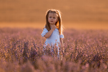 Little girl in in white and blue dress across field of purple lavender among the rows at sunset.