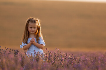 Little girl in in white and blue dress across field of purple lavender among the rows at sunset.