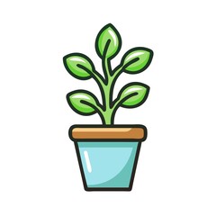 plant in pot