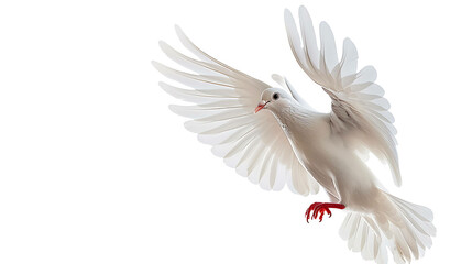 Fototapeta premium A beautiful white dove is flying with its wings spread wide. The dove has a gentle expression on its face, and its eyes are closed.