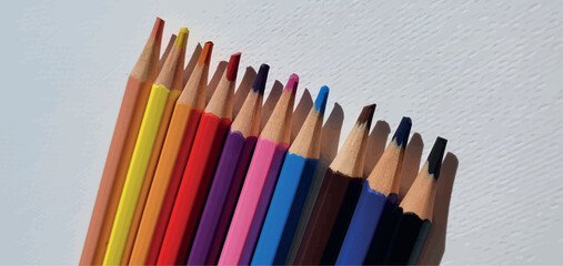 Fototapeta premium A set of colored pencils isolated on white background. Drawing pencils. A set of colored pencils for school. Bright palette of colors. Pencils in a pencil case.