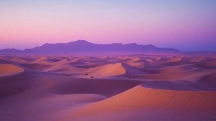 Purple Desert Sunset