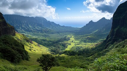 Fototapeta premium A scenic overlook of a valley, with mountains in the distance 