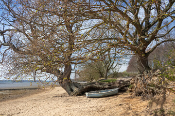 Nacton Foreshore, Suffolk, England, United Kingdom