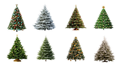 Obraz premium PNG Christmas tree element set, transparent background
