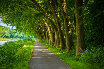 Radweg an der Ems bei Meppen
