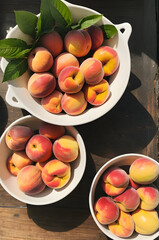 apricots and peaches