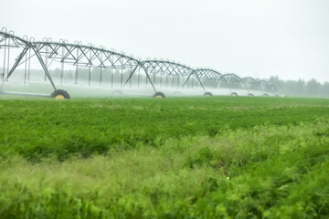 Blurred green field landscape