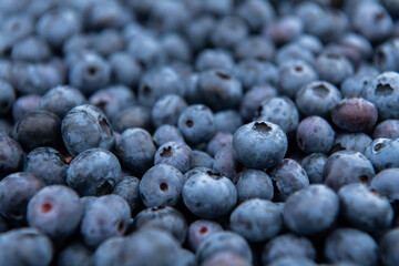 Close Up of Freshly Picked Blueberries Showcasing Natures Sweetness and Quality.