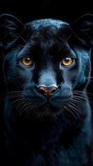 Download stunning black panther animal wallpaper for your mobile phone