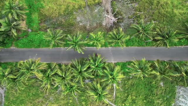 bike ride in goa drone top shot