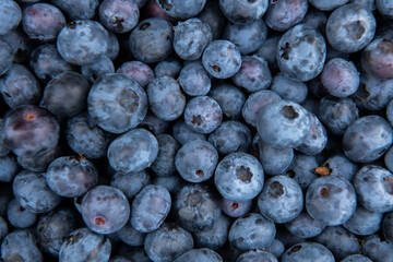 Close Up of Freshly Picked Blueberries Showcasing Natures Sweetness and Quality.