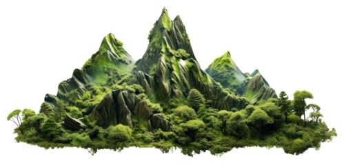 PNG Rainforest mountain vegetation landscape outdoors.